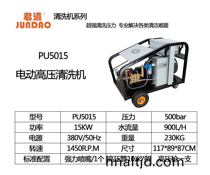 PU5015.jpg